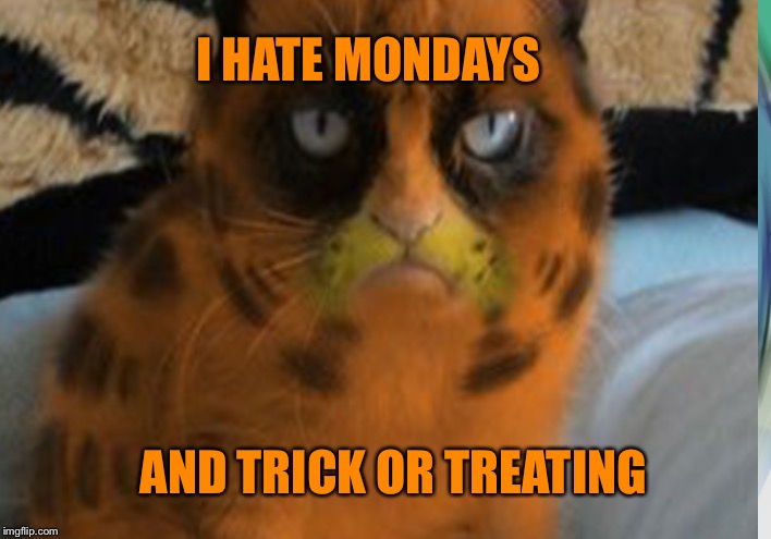 Grumpy Cat DOESN'T WANT to dress up | I HATE MONDAYS; AND TRICK OR TREATING | image tagged in grumpy cat,halloween | made w/ Imgflip meme maker