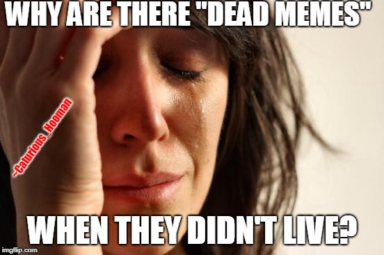 First World Problems Meme | WHY ARE THERE "DEAD MEMES"; ~Caturious_Hooman; WHEN THEY DIDN'T LIVE? | image tagged in memes,first world problems | made w/ Imgflip meme maker