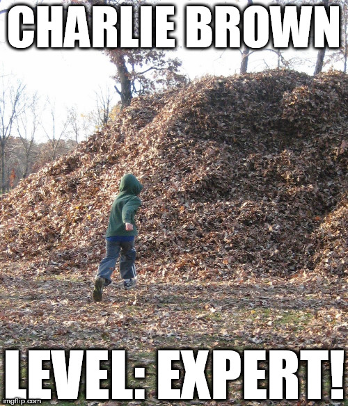 CHARLIE BROWN LEVEL: EXPERT! | made w/ Imgflip meme maker
