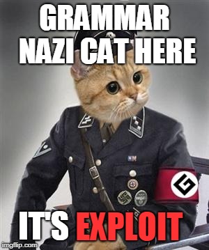 Grammar Nazi Cat | GRAMMAR NAZI CAT HERE IT'S EXPLOIT | image tagged in grammar nazi cat | made w/ Imgflip meme maker