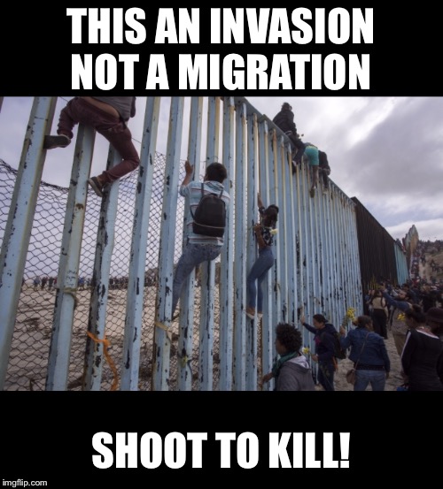 THIS AN INVASION NOT A MIGRATION; SHOOT TO KILL! | image tagged in migrant,caravan,invasion,migration | made w/ Imgflip meme maker