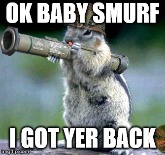 Bazooka Squirrel | OK BABY SMURF; I GOT YER BACK | image tagged in memes,bazooka squirrel | made w/ Imgflip meme maker