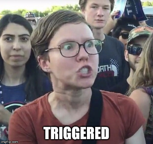 Triggered feminist | TRIGGERED | image tagged in triggered feminist | made w/ Imgflip meme maker