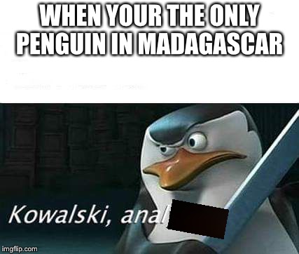 kowalski, analysis | WHEN YOUR THE ONLY PENGUIN IN MADAGASCAR | image tagged in kowalski analysis | made w/ Imgflip meme maker