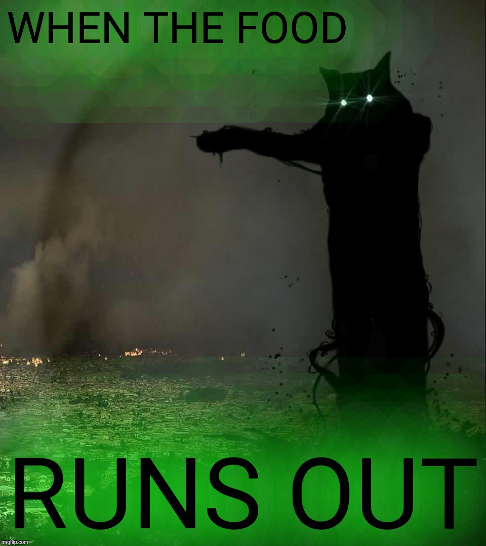 Godzilla Cat | WHEN THE FOOD RUNS OUT | image tagged in godzilla cat | made w/ Imgflip meme maker