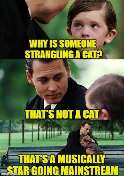 Finding Neverland Meme | WHY IS SOMEONE STRANGLING A CAT? THAT'S NOT A CAT; THAT'S A MUSICALLY STAR GOING MAINSTREAM | image tagged in memes,finding neverland | made w/ Imgflip meme maker