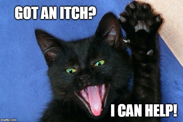 Psycho kitty | GOT AN ITCH? I CAN HELP! | image tagged in itch,scratch,cats | made w/ Imgflip meme maker