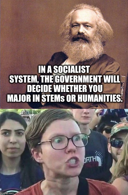 IN A SOCIALIST SYSTEM, THE GOVERNMENT WILL DECIDE WHETHER YOU MAJOR IN STEMs OR HUMANITIES. | IN A SOCIALIST SYSTEM, THE GOVERNMENT WILL DECIDE WHETHER YOU MAJOR IN STEMs OR HUMANITIES. | image tagged in cultural marxism,social justice warriors,triggered | made w/ Imgflip meme maker