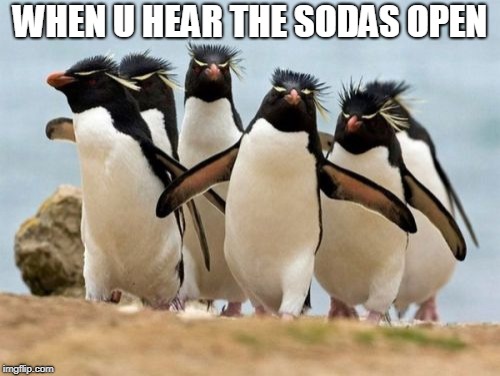 Penguin Gang | WHEN U HEAR THE SODAS OPEN | image tagged in memes,penguin gang | made w/ Imgflip meme maker