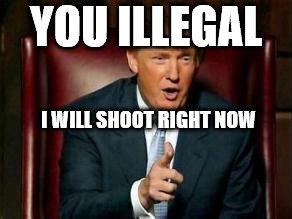 Donald Trump | YOU ILLEGAL; I WILL SHOOT RIGHT NOW | image tagged in donald trump | made w/ Imgflip meme maker