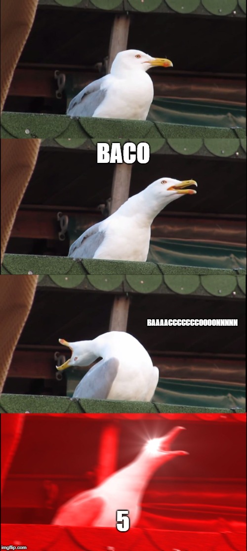 Inhaling Seagull Meme | BACO; BAAAACCCCCCCOOOONNNNN; 5 | image tagged in memes,inhaling seagull | made w/ Imgflip meme maker