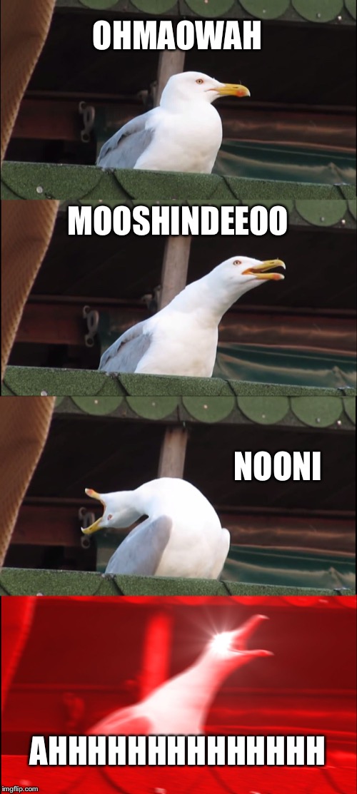 Inhaling Seagull | OHMAOWAH; MOOSHINDEEOO; NOONI; AHHHHHHHHHHHHHH | image tagged in memes,inhaling seagull | made w/ Imgflip meme maker