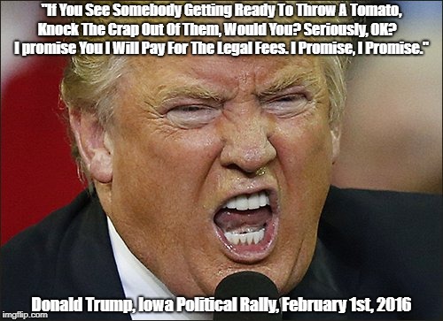 "Knock The Crap Out Of Them, Would You? Seriously, OK? I Promise I Will Pay For The Legal Fees. I Promise. I Promise." | "If You See Somebody Getting Ready To Throw A Tomato, Knock The Crap Out Of Them, Would You? Seriously, OK?     I promise You I Will Pay For | image tagged in malicious hateful trump,deplorable donald,trump incites violence,despicable donald,dishonorable donald,trump aids and abets assa | made w/ Imgflip meme maker