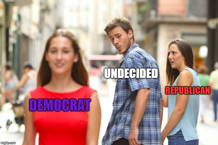 Who should i vote for | UNDECIDED; REPUBLICAN; DEMOCRAT | image tagged in memes,distracted boyfriend,midterms,election 2018 | made w/ Imgflip meme maker