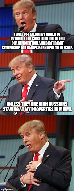 It's called "Birth Tourism", it's real and they love Trump Properties.  | I WILL USE EXECUTIVE ORDER TO OVERRULE THE CONSTITUTION TO END CHAIN MIGRATION AND BIRTHRIGHT CITIZENSHIP FOR BABIES BORN HERE TO ILLEGALS. UNLESS THEY ARE RICH RUSSIANS STAYING AT MY PROPERTIES IN MIAMI. | image tagged in bad pun trump | made w/ Imgflip meme maker