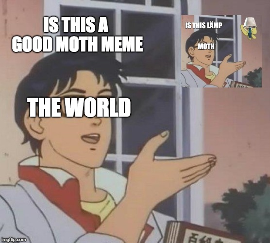 Is This A Pigeon Meme | IS THIS A GOOD MOTH MEME; THE WORLD | image tagged in memes,is this a pigeon | made w/ Imgflip meme maker