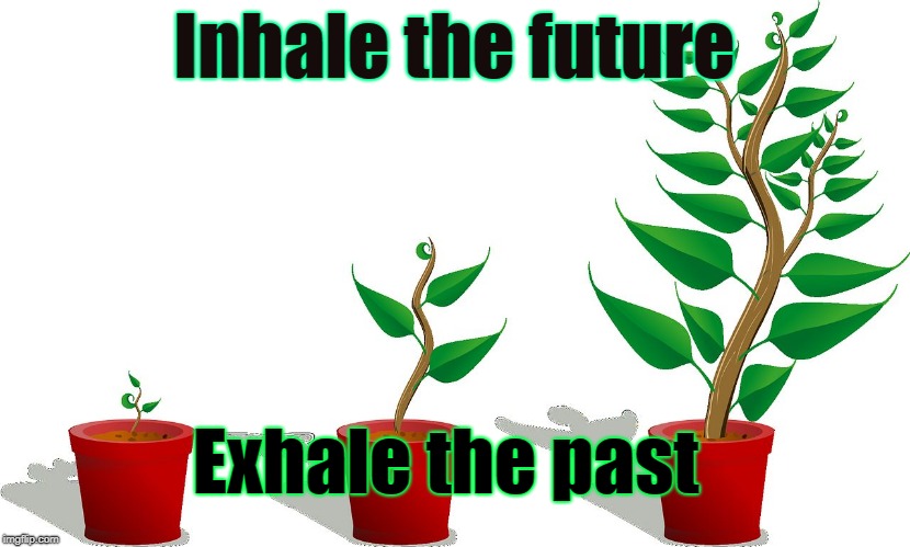 Inhale the future; Exhale the past | image tagged in inhale the future | made w/ Imgflip meme maker