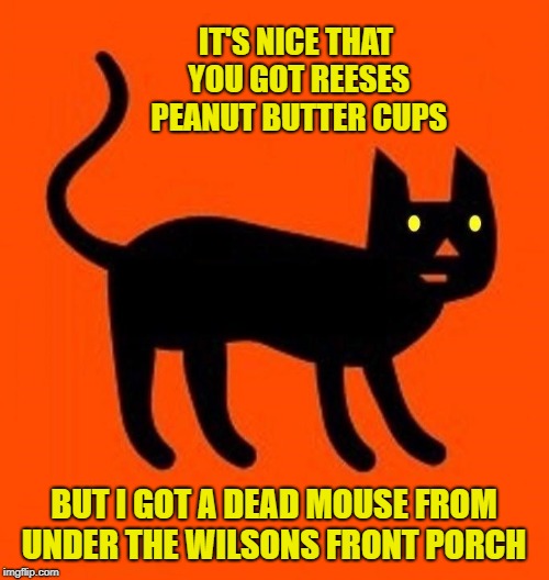 IT'S NICE THAT YOU GOT REESES PEANUT BUTTER CUPS; BUT I GOT A DEAD MOUSE FROM UNDER THE WILSONS FRONT PORCH | image tagged in cat,halloween,happy halloween,mouse,chocolate,candy | made w/ Imgflip meme maker