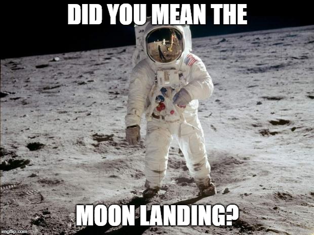 Moon Landing | DID YOU MEAN THE MOON LANDING? | image tagged in moon landing | made w/ Imgflip meme maker