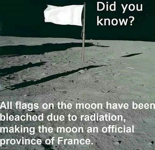 NOUS NOUS RENDONS! | image tagged in france,moon landing,moon | made w/ Imgflip meme maker
