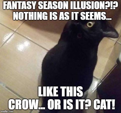 FANTASY SEASON ILLUSION?!?  NOTHING IS AS IT SEEMS... LIKE THIS CROW... OR IS IT? CAT! | image tagged in crat | made w/ Imgflip meme maker