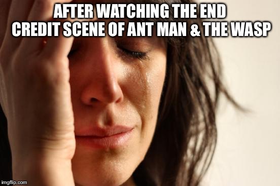 First World Problems | AFTER WATCHING THE END CREDIT SCENE OF ANT MAN & THE WASP | image tagged in memes,first world problems | made w/ Imgflip meme maker