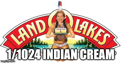1/1024 INDIAN CREAM | image tagged in warrenlakes | made w/ Imgflip meme maker