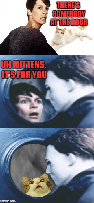 Pass the buck | THERE'S SOMEBODY AT THE DOOR; UH MITTENS, IT'S FOR YOU | image tagged in funny memes,halloween,happy halloween,cat,michael myers | made w/ Imgflip meme maker