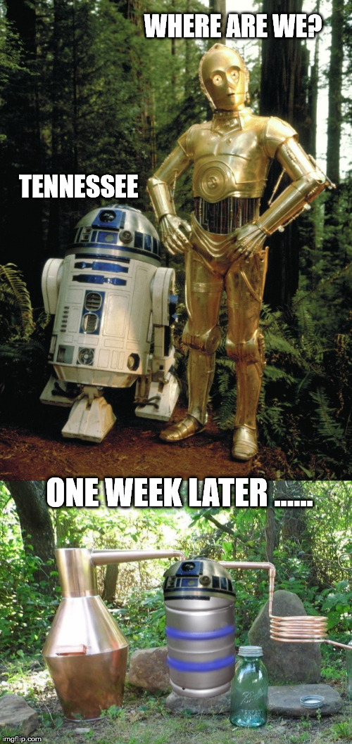 There's gold in them there hills | WHERE ARE WE? TENNESSEE; ONE WEEK LATER ...... | image tagged in r2d2 and c3po | made w/ Imgflip meme maker