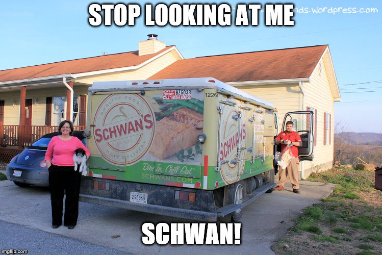 STOP LOOKING AT ME; SCHWAN! | image tagged in adam sandler | made w/ Imgflip meme maker