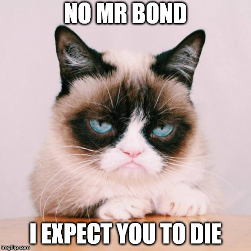 no mr bond | NO MR BOND; I EXPECT YOU TO DIE | image tagged in grumpy cat again | made w/ Imgflip meme maker