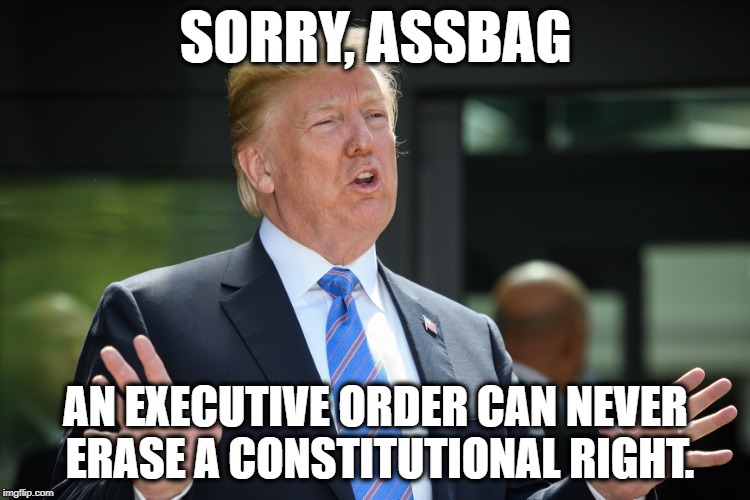 Our Founding Fathers Saw This Assbag Coming And Prepared For It. | SORRY, ASSBAG; AN EXECUTIVE ORDER CAN NEVER ERASE A CONSTITUTIONAL RIGHT. | image tagged in donald trump,constitution,citizenship,immigration,traitor,treason | made w/ Imgflip meme maker
