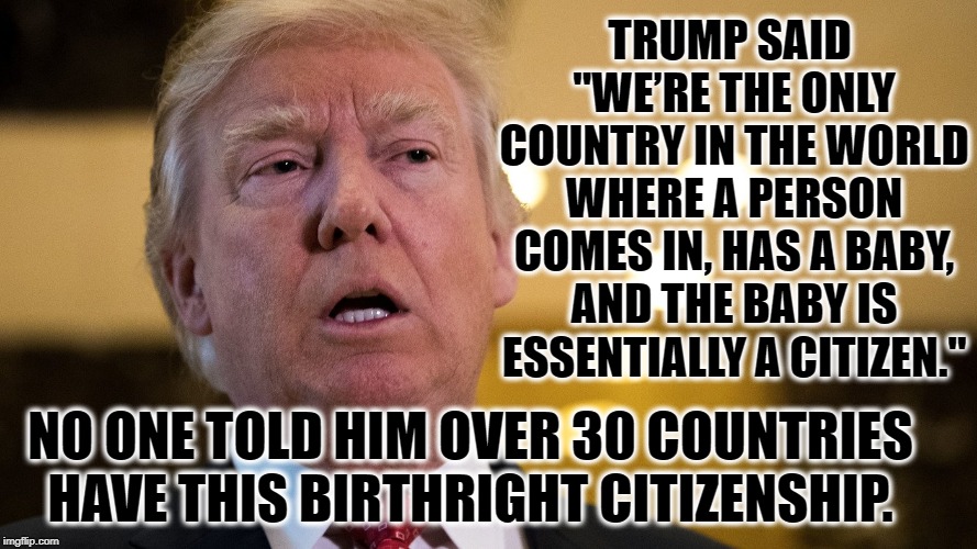 Everything He Says Is Backed By His Complete Ignorance of Reality | TRUMP SAID "WE’RE THE ONLY COUNTRY IN THE WORLD WHERE A PERSON COMES IN, HAS A BABY, AND THE BABY IS ESSENTIALLY A CITIZEN."; NO ONE TOLD HIM OVER 30 COUNTRIES HAVE THIS BIRTHRIGHT CITIZENSHIP. | image tagged in immigration,donald trump,citizenship,facts,ignorance,traitor | made w/ Imgflip meme maker