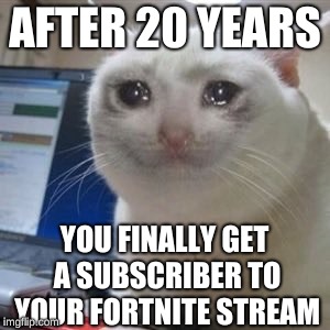 Sad cat tears | AFTER 20 YEARS; YOU FINALLY GET A SUBSCRIBER TO YOUR FORTNITE STREAM | image tagged in sad cat tears,memes | made w/ Imgflip meme maker