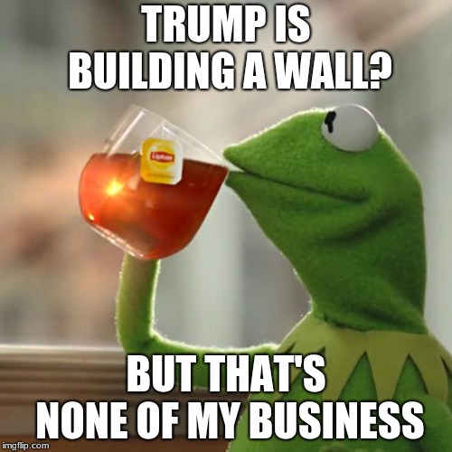 But That's None Of My Business Meme | TRUMP IS BUILDING A WALL? BUT THAT'S NONE OF MY BUSINESS | image tagged in memes,but thats none of my business,kermit the frog | made w/ Imgflip meme maker