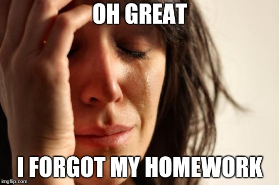 First World Problems Meme | OH GREAT; I FORGOT MY HOMEWORK | image tagged in memes,first world problems | made w/ Imgflip meme maker