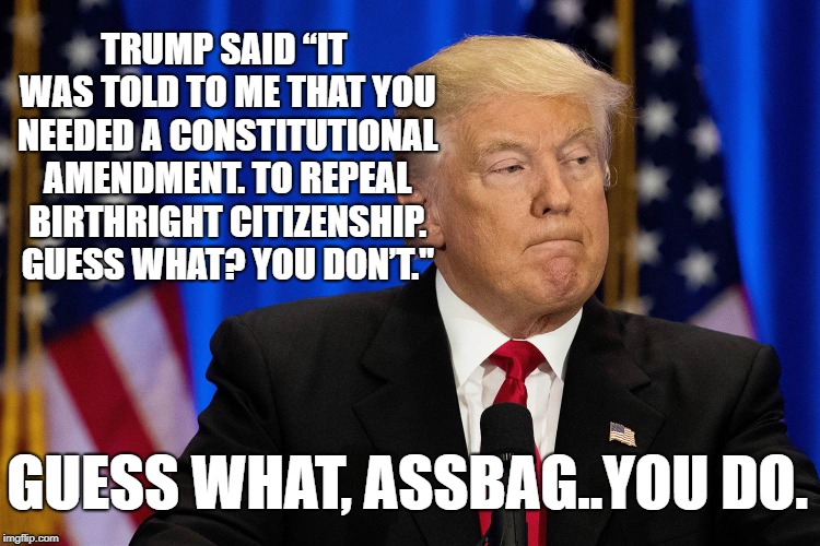 A President Who Has No Idea How Our System Works | TRUMP SAID “IT WAS TOLD TO ME THAT YOU NEEDED A CONSTITUTIONAL AMENDMENT. TO REPEAL BIRTHRIGHT CITIZENSHIP. GUESS WHAT? YOU DON’T."; GUESS WHAT, ASSBAG..YOU DO. | image tagged in donald trump,traitor,citizenship,immigration,treason,constitution | made w/ Imgflip meme maker