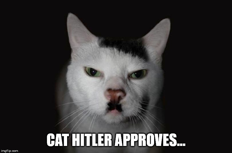 CAT HITLER APPROVES... | made w/ Imgflip meme maker