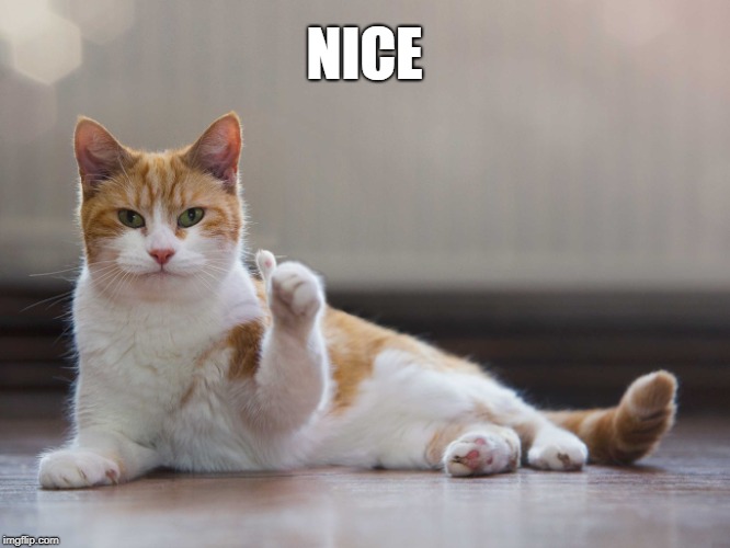 NICE | made w/ Imgflip meme maker