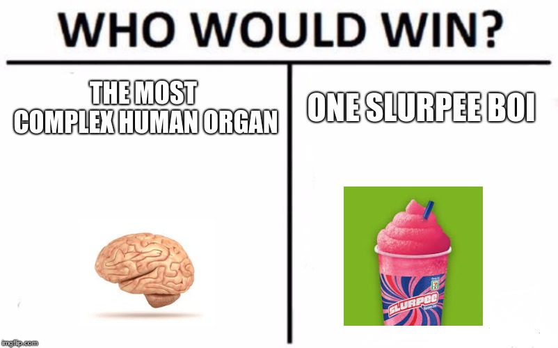 Who Would Win? | THE MOST COMPLEX HUMAN ORGAN; ONE SLURPEE BOI | image tagged in memes,who would win | made w/ Imgflip meme maker