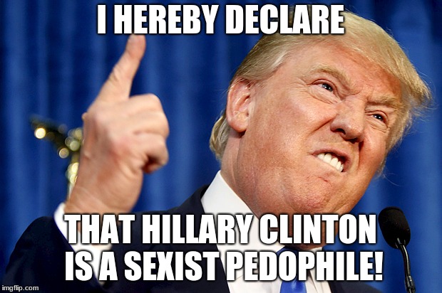 Donald Trump | I HEREBY DECLARE; THAT HILLARY CLINTON IS A SEXIST PEDOPHILE! | image tagged in donald trump | made w/ Imgflip meme maker