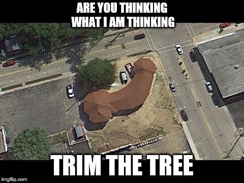 ARE YOU THINKING WHAT I AM THINKING; TRIM THE TREE | image tagged in landscaping | made w/ Imgflip meme maker