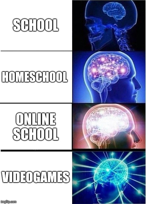 Expanding Brain | SCHOOL; HOMESCHOOL; ONLINE SCHOOL; VIDEOGAMES | image tagged in memes,expanding brain | made w/ Imgflip meme maker
