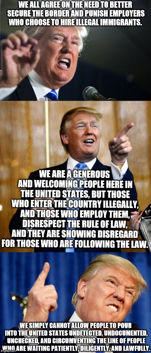 Donald Trump quote Dec. 15, 2005 | WE ALL AGREE ON THE NEED TO BETTER SECURE THE BORDER AND PUNISH EMPLOYERS WHO CHOOSE TO HIRE ILLEGAL IMMIGRANTS. WE ARE A GENEROUS AND WELCOMING PEOPLE HERE IN THE UNITED STATES, BUT THOSE WHO ENTER THE COUNTRY ILLEGALLY, AND THOSE WHO EMPLOY THEM, DISRESPECT THE RULE OF LAW, AND THEY ARE SHOWING DISREGARD FOR THOSE WHO ARE FOLLOWING THE LAW. WE SIMPLY CANNOT ALLOW PEOPLE TO POUR INTO THE UNITED STATES UNDETECTED, UNDOCUMENTED, UNCHECKED, AND CIRCUMVENTING THE LINE OF PEOPLE WHO ARE WAITING PATIENTLY, DILIGENTLY, AND LAWFULLY. | image tagged in memes,american politics,immigration,donald trump | made w/ Imgflip meme maker