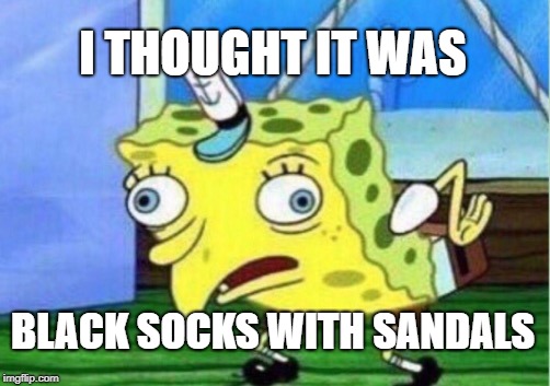 Mocking Spongebob Meme | I THOUGHT IT WAS BLACK SOCKS WITH SANDALS | image tagged in memes,mocking spongebob | made w/ Imgflip meme maker