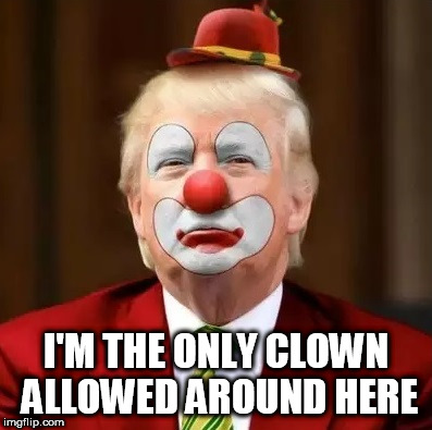 Donald Trump Clown | I'M THE ONLY CLOWN ALLOWED AROUND HERE | image tagged in donald trump clown | made w/ Imgflip meme maker