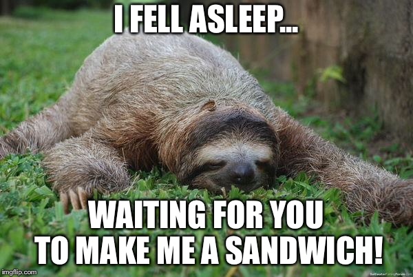 Sleeping sloth |  I FELL ASLEEP... WAITING FOR YOU TO MAKE ME A SANDWICH! | image tagged in sleeping sloth | made w/ Imgflip meme maker