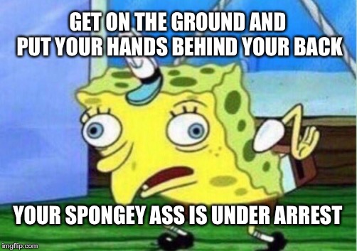 Mocking Spongebob | GET ON THE GROUND AND PUT YOUR HANDS BEHIND YOUR BACK; YOUR SPONGEY ASS IS UNDER ARREST | image tagged in memes,mocking spongebob | made w/ Imgflip meme maker