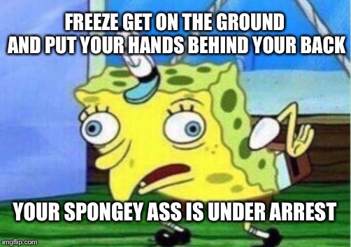 Mocking Spongebob | FREEZE GET ON THE GROUND AND PUT YOUR HANDS BEHIND YOUR BACK; YOUR SPONGEY ASS IS UNDER ARREST | image tagged in memes,mocking spongebob | made w/ Imgflip meme maker