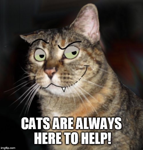 CATS ARE ALWAYS HERE TO HELP! | made w/ Imgflip meme maker